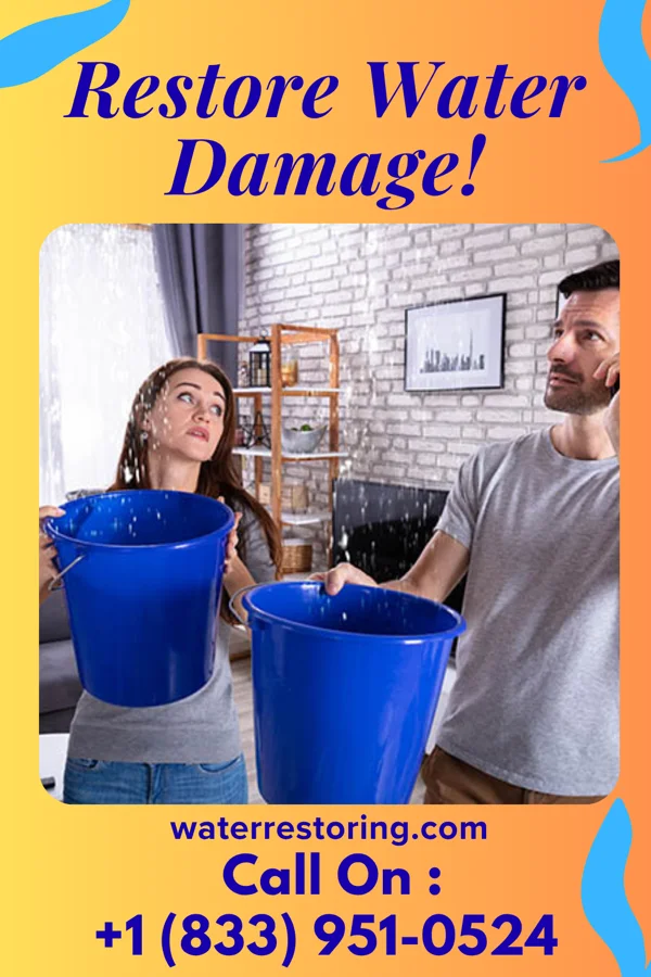water restoration Vigilant Cleanup Network McKee City