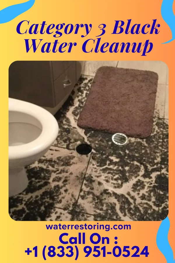 Category 3 Black Water Cleanup in McKee City, NJ