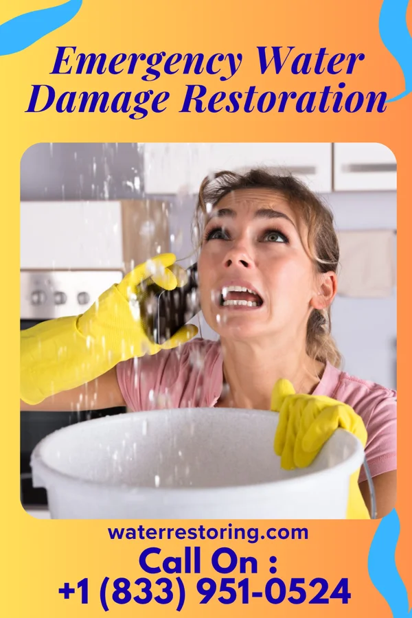 Emergency Water Damage Restoration in McKee City, NJ