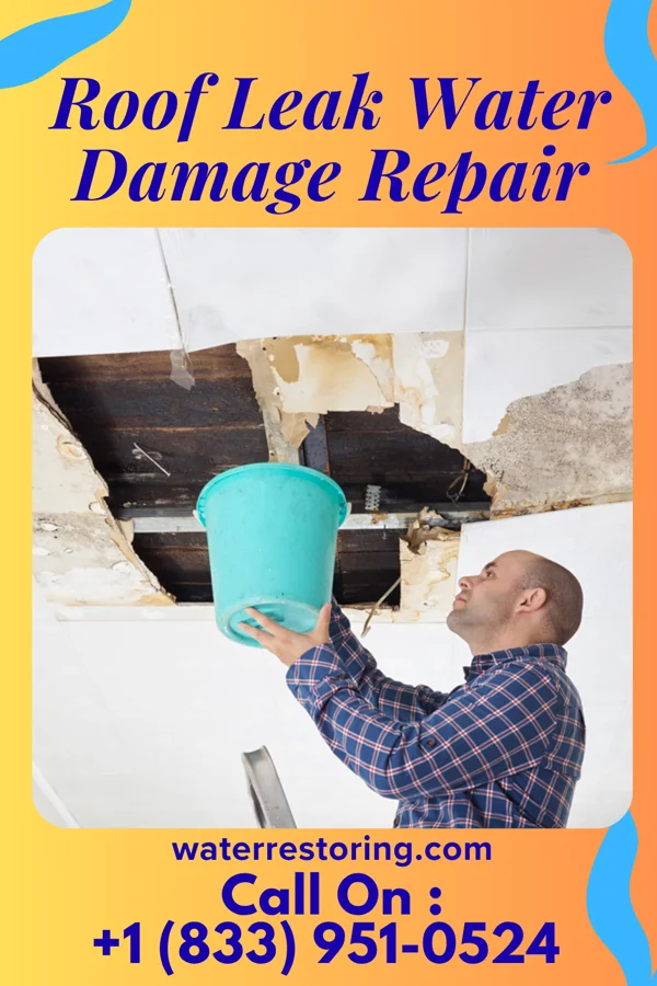 Roof Leak Water Damage Repair in McKee City, NJ