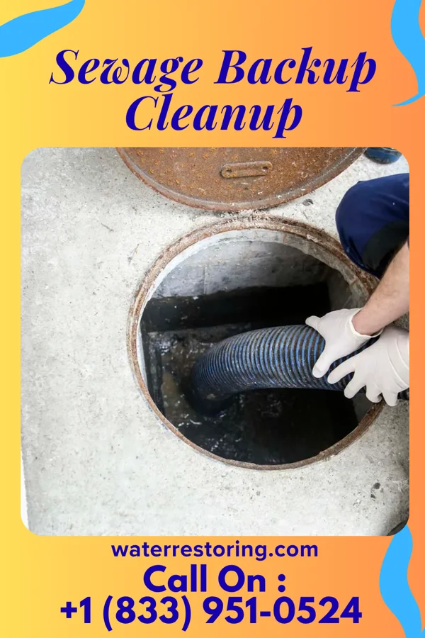 Sewage Backup Cleanup in McKee City, NJ