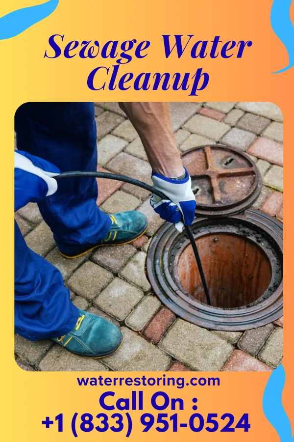 Sewage Water Cleanup in McKee City, NJ