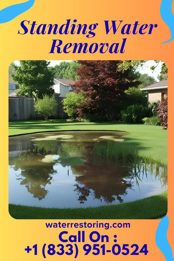 Standing Water Removal in McKee City, NJ